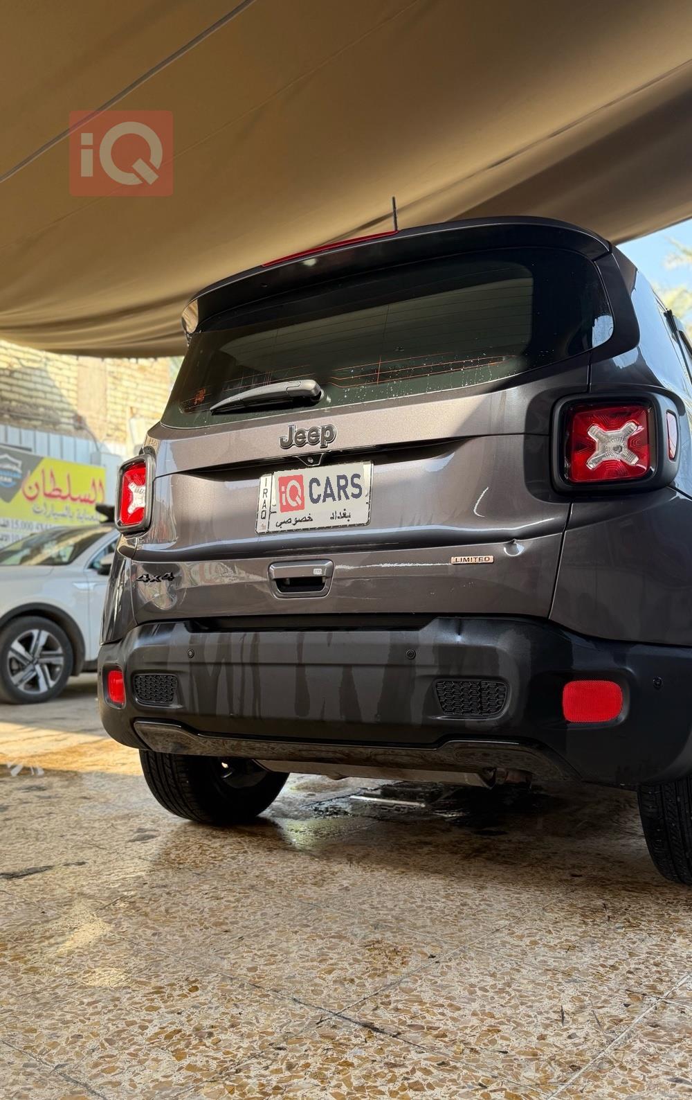 جيب رينيجيد